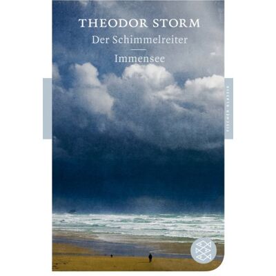Storm Der Schimmelreiter / Immensee: Erzählungen - Preis vom 24.06.2026 19:44:00 h Storm Der Schimmelreiter / Immensee: Erzählungen - Preis vom 24.06.2026 19:44:00 h