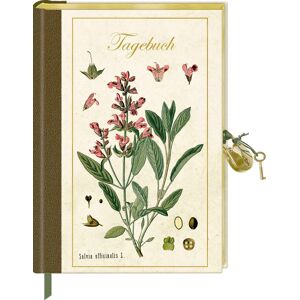 Tagebuch mit Schloss: Sammlung Augustina: 204 Seite mit Punkteraster, Leseband, inspirierenden Sprüchen, edel mit Goldfolie - Preis vom 13.06.2026 05:28:29 h Tagebuch mit Schloss: Sammlung Augustina: 204 Seite mit Punkteraster, Leseband, inspirierenden Sprüchen, edel mit Goldfolie - Preis vom 13.06.2026 05:28:29 h