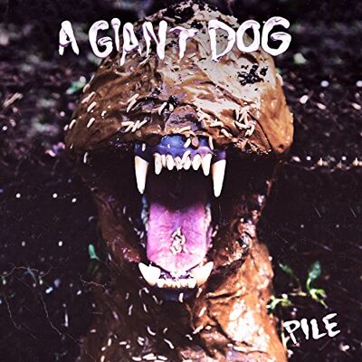 Giant Pile - Preis vom 08.09.2026 08:18:28 h Giant Pile - Preis vom 08.09.2026 08:18:28 h