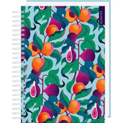 myNotes Papeterie: Ringbuch Farben des Sommers: Notizbuch mit Spirale, punktkariert, für Kreatives und Erinnerungen - Preis vom 21.06.2026 05:42:24 h myNotes Papeterie: Ringbuch Farben des Sommers: Notizbuch mit Spirale, punktkariert, für Kreatives und Erinnerungen - Preis vom 21.06.2026 05:42:24 h
