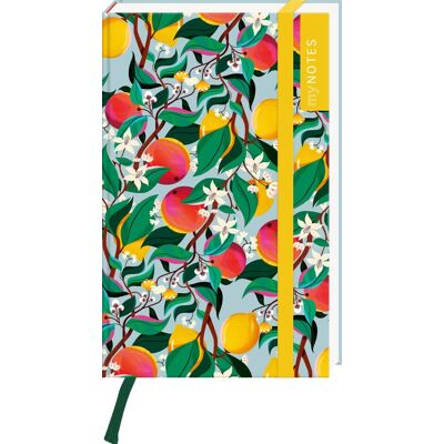 myNOTES Papeterie: Notizbuch A6 Farben des Sommers: Mini-Blankbook, gepunktet, ideal für Notizen unterwegs - Preis vom 21.06.2026 05:42:24 h myNOTES Papeterie: Notizbuch A6 Farben des Sommers: Mini-Blankbook, gepunktet, ideal für Notizen unterwegs - Preis vom 21.06.2026 05:42:24 h