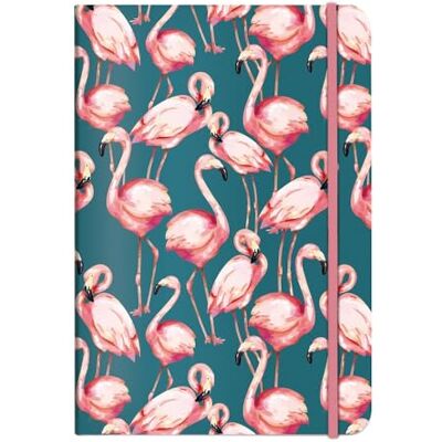 CEDON Notizbuch A5 Pink Flamingo - Preis vom 21.06.2026 05:42:24 h CEDON Notizbuch A5 Pink Flamingo - Preis vom 21.06.2026 05:42:24 h
