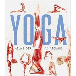 YOGA: Atlas der Anatomie - Preis vom 12.06.2026 05:40:31 h YOGA: Atlas der Anatomie - Preis vom 12.06.2026 05:40:31 h