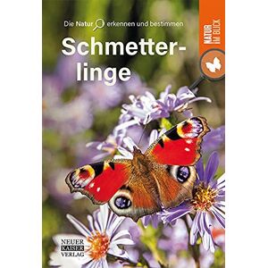 Schmetterlinge: Die Natur erkennen und bestimmen - Natur im Blick - Preis vom 13.06.2026 05:28:29 h Schmetterlinge: Die Natur erkennen und bestimmen - Natur im Blick - Preis vom 13.06.2026 05:28:29 h
