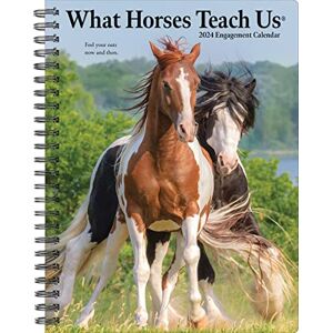 Willow Creek Press - What Horses Teach Us 2024 6.5 X 8.5 Engagement Calendar - Preis vom 11.06.2026 05:43:19 h Willow Creek Press - What Horses Teach Us 2024 6.5 X 8.5 Engagement Calendar - Preis vom 11.06.2026 05:43:19 h