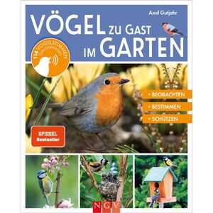 Axel Gutjahr - Vögel zu Gast im Garten - Beobachten, bestimmen, schützen.: 114 Vogelstimmen zum Download. Das perfekte Geschenk für alle Vogelfreunde - Preis vom 16.06.2026 05:30:18 h Axel Gutjahr - Vögel zu Gast im Garten - Beobachten, bestimmen, schützen.: 114 Vogelstimmen zum Download. Das perfekte Geschenk für alle Vogelfreunde - Preis vom 16.06.2026 05:30:18 h