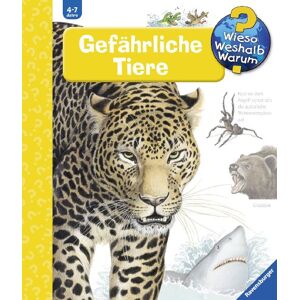 Angela Weinhold - Wieso? Weshalb? Warum? 49: Gefährliche Tiere - Preis vom 15.06.2026 05:30:30 h Angela Weinhold - Wieso? Weshalb? Warum? 49: Gefährliche Tiere - Preis vom 15.06.2026 05:30:30 h
