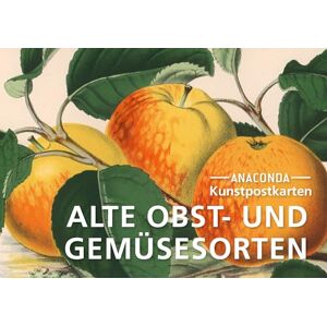 Postkarten-Set Alte Obst- und Gemüsesorten: 18 Kunstpostkarten aus hochwertigem Karton. ca. 0,28€ pro Karte (Anaconda Postkarten, Band 84) - Preis vom 11.06.2026 05:43:19 h Postkarten-Set Alte Obst- und Gemüsesorten: 18 Kunstpostkarten aus hochwertigem Karton. ca. 0,28€ pro Karte (Anaconda Postkarten, Band 84) - Preis vom 11.06.2026 05:43:19 h