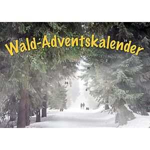 Durch den Wald im Advent: Erlebnisraum Wald: Tiere, Pflanzen und Bäume in Bild und Text - Preis vom 11.06.2026 05:43:19 h Durch den Wald im Advent: Erlebnisraum Wald: Tiere, Pflanzen und Bäume in Bild und Text - Preis vom 11.06.2026 05:43:19 h