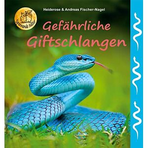 Heiderose Fischer-Nagel - Gefährliche Giftschlangen - Preis vom 15.06.2026 05:30:30 h Heiderose Fischer-Nagel - Gefährliche Giftschlangen - Preis vom 15.06.2026 05:30:30 h