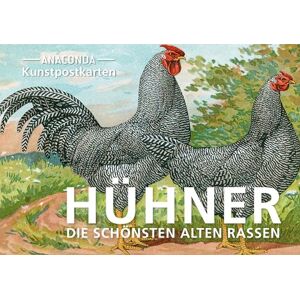 Postkarten-Set Hühner: 18 Kunstpostkarten aus hochwertigem Karton. ca. 0,28€ pro Karte (Anaconda Postkarten, Band 85) - Preis vom 14.06.2026 05:24:48 h Postkarten-Set Hühner: 18 Kunstpostkarten aus hochwertigem Karton. ca. 0,28€ pro Karte (Anaconda Postkarten, Band 85) - Preis vom 14.06.2026 05:24:48 h