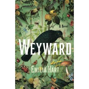 Hart Weyward: A Novel - Preis vom 12.06.2026 05:40:31 h Hart Weyward: A Novel - Preis vom 12.06.2026 05:40:31 h
