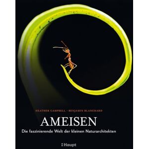 Heather Campbell - Ameisen: Die faszinierende Welt der kleinen Naturarchitekten - Preis vom 13.06.2026 05:28:29 h Heather Campbell - Ameisen: Die faszinierende Welt der kleinen Naturarchitekten - Preis vom 13.06.2026 05:28:29 h