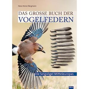 Bergmann Das große Buch der Vogelfedern: Die Singvögel Mitteleuropas - Preis vom 10.06.2026 05:35:22 h Bergmann Das große Buch der Vogelfedern: Die Singvögel Mitteleuropas - Preis vom 10.06.2026 05:35:22 h