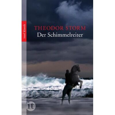 Storm Der Schimmelreiter: Novelle (insel taschenbuch) - Preis vom 24.06.2026 19:44:00 h Storm Der Schimmelreiter: Novelle (insel taschenbuch) - Preis vom 24.06.2026 19:44:00 h