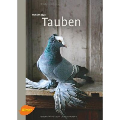 Wilhelm Bauer - Tauben - Preis vom 19.06.2026 05:29:47 h Wilhelm Bauer - Tauben - Preis vom 19.06.2026 05:29:47 h