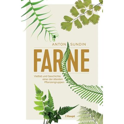 Anton Sundin - Farne: Vielfalt und Geschichte einer der ältesten Pflanzengruppen - Preis vom 25.06.2026 23:23:36 h Anton Sundin - Farne: Vielfalt und Geschichte einer der ältesten Pflanzengruppen - Preis vom 25.06.2026 23:23:36 h