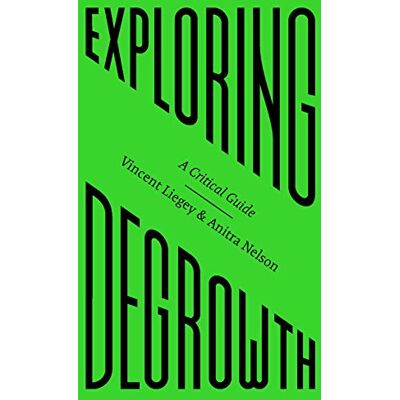 Vincent Exploring Degrowth: A Critical Guide (FireWorks) - Preis vom 23.06.2026 11:45:09 h Vincent Exploring Degrowth: A Critical Guide (FireWorks) - Preis vom 23.06.2026 11:45:09 h
