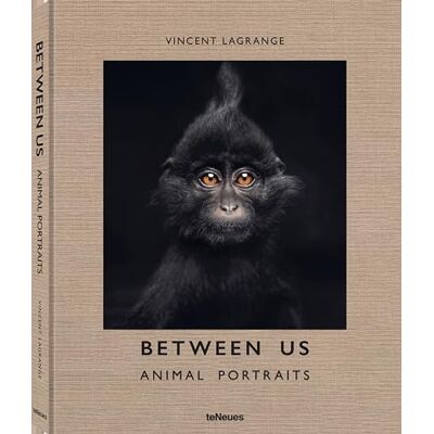 Vincent Between Us Animal Portraits - Preis vom 22.06.2026 23:23:57 h Vincent Between Us Animal Portraits - Preis vom 22.06.2026 23:23:57 h