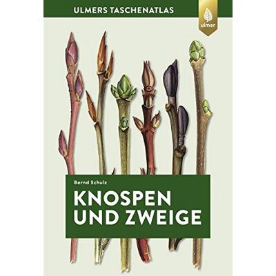 Bernd Schulz - Knospen und Zweige (Taschenatlanten) - Preis vom 16.06.2026 05:30:18 h Bernd Schulz - Knospen und Zweige (Taschenatlanten) - Preis vom 16.06.2026 05:30:18 h