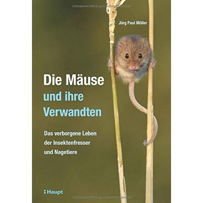 Jürg Paul Müller - Die Mäuse und ihre Verwandten: Das verborgene Leben der Insektenfresser und Nagetiere - Preis vom 20.06.2026 05:23:55 h Jürg Paul Müller - Die Mäuse und ihre Verwandten: Das verborgene Leben der Insektenfresser und Nagetiere - Preis vom 20.06.2026 05:23:55 h