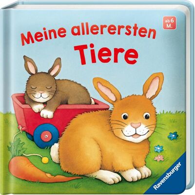 Meine allerersten Tiere: Bilderbuch, Wörterbuch, Baby-Buch ab 6 Monaten - Preis vom 17.06.2026 05:34:31 h Meine allerersten Tiere: Bilderbuch, Wörterbuch, Baby-Buch ab 6 Monaten - Preis vom 17.06.2026 05:34:31 h