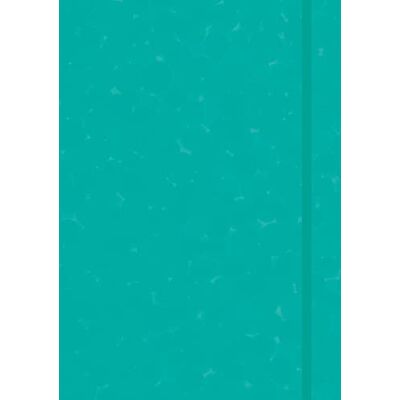 Anaconda Notizbuch/Notebook/Blankbook, punktiert, textiles Gummiband, grün, Hardcover (A5), 120g/m² Papier: Bullet Journal/Organizer/Diary dotted. Tagebuch/Planer gepunktet - Preis vom 07.08.2026 11:47:26 h Anaconda Notizbuch/Notebook/Blankbook, punktiert, textiles Gummiband, grün, Hardcover (A5), 120g/m² Papier: Bullet Journal/Organizer/Diary dotted. Tagebuch/Planer gepunktet - Preis vom 07.08.2026 11:47:26 h