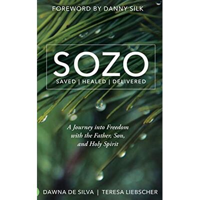 Silva SOZO Saved Healed Delivered: A Journey into Freedom with the Father, Son, and Holy Spirit - Preis vom 23.06.2026 11:45:09 h Silva SOZO Saved Healed Delivered: A Journey into Freedom with the Father, Son, and Holy Spirit - Preis vom 23.06.2026 11:45:09 h