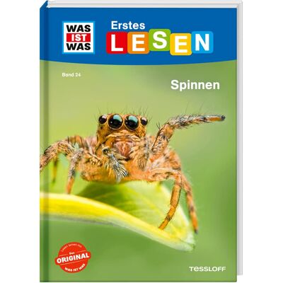 Braun WAS IST WAS Erstes Lesen Band 24. Spinnen / Sachbuch für Erstleser und Leseanfänger / Mit großer Schrift und einfachem Satzbau - Preis vom 20.06.2026 05:23:55 h Braun WAS IST WAS Erstes Lesen Band 24. Spinnen / Sachbuch für Erstleser und Leseanfänger / Mit großer Schrift und einfachem Satzbau - Preis vom 20.06.2026 05:23:55 h