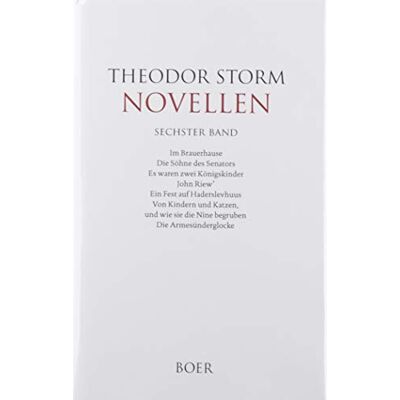 Storm Novellen sechster Band - Preis vom 24.06.2026 19:44:00 h Storm Novellen sechster Band - Preis vom 24.06.2026 19:44:00 h