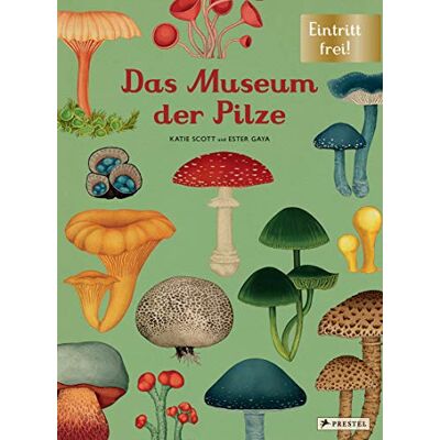Ester Gaya - Das Museum der Pilze: Eintritt frei! - Preis vom 24.06.2026 07:42:13 h Ester Gaya - Das Museum der Pilze: Eintritt frei! - Preis vom 24.06.2026 07:42:13 h