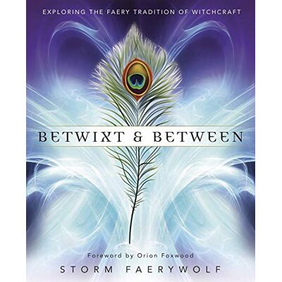 Storm Faerywolf, S: Betwixt and Between: Exploring the Faery Tradition of Witchcraft - Preis vom 24.06.2026 19:44:00 h Storm Faerywolf, S: Betwixt and Between: Exploring the Faery Tradition of Witchcraft - Preis vom 24.06.2026 19:44:00 h