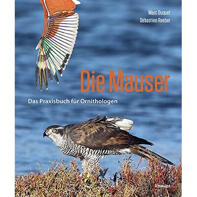 Marc Die Mauser: Das Praxisbuch für Ornithologen: Das Praxisbuch fr Ornithologen - Preis vom 22.06.2026 23:23:57 h Marc Die Mauser: Das Praxisbuch für Ornithologen: Das Praxisbuch fr Ornithologen - Preis vom 22.06.2026 23:23:57 h