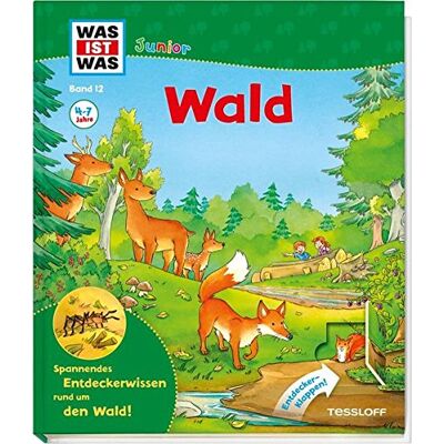 Braun WAS IST WAS Junior Band 12. Wald: Welche Bäume wachsen im Wald? Wer räumt den Wald auf? (WAS IST WAS Junior Sachbuch, Band 12) - Preis vom 19.06.2026 05:29:47 h Braun WAS IST WAS Junior Band 12. Wald: Welche Bäume wachsen im Wald? Wer räumt den Wald auf? (WAS IST WAS Junior Sachbuch, Band 12) - Preis vom 19.06.2026 05:29:47 h