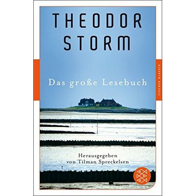 Storm Das große Lesebuch (Fischer Klassik) - Preis vom 24.06.2026 07:42:13 h Storm Das große Lesebuch (Fischer Klassik) - Preis vom 24.06.2026 07:42:13 h