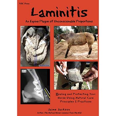 Jackson Laminitis: An Equine Plague of Unconscionable Proportions: Healing and Protecting Your Horse Using Natural Principles & Practices - Preis vom 19.06.2026 05:29:47 h Jackson Laminitis: An Equine Plague of Unconscionable Proportions: Healing and Protecting Your Horse Using Natural Principles & Practices - Preis vom 19.06.2026 05:29:47 h