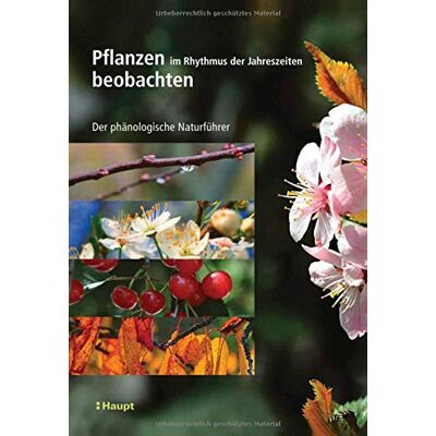 Vincent Pflanzen im Rhythmus der Jahreszeiten beobachten: Der phänologische Naturführer - Preis vom 23.06.2026 11:45:09 h Vincent Pflanzen im Rhythmus der Jahreszeiten beobachten: Der phänologische Naturführer - Preis vom 23.06.2026 11:45:09 h