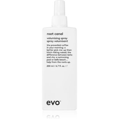 EVO Root Canal Volumising Spray - Haarspray EVO Root Canal Volumising Spray - Haarspray