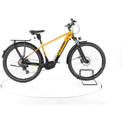 Raleigh Dundee 10 Trekking E-Bike - 303996 Raleigh Dundee 10 Trekking E-Bike - 303996
