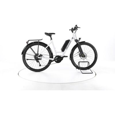 Diamant Zing+ Gen 1 Trekking E-Bike Tiefeinsteiger - 304438 Diamant Zing+ Gen 1 Trekking E-Bike Tiefeinsteiger - 304438