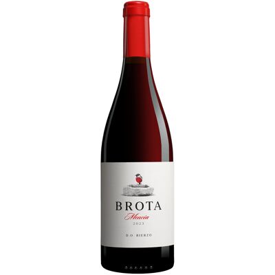Hammeken Cellars Brota Mencía 2023 12.5% Vol. Rotwein Trocken aus Spanien Hammeken Cellars Brota Mencía 2023 12.5% Vol. Rotwein Trocken aus Spanien