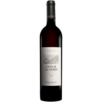 Pago de Carraovejas »Cuesta de las Liebres« Reserva 2020 15% Vol. Rotwein Trocken aus Spanien Pago de Carraovejas »Cuesta de las Liebres« Reserva 2020 15% Vol. Rotwein Trocken aus Spanien