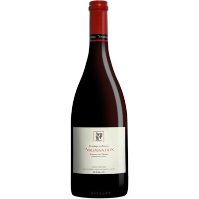 Dominio de Atauta Valdegatiles 2016 - Französische Eiche - Roter Wein Dominio de Atauta Valdegatiles 2016 - Französische Eiche - Roter Wein