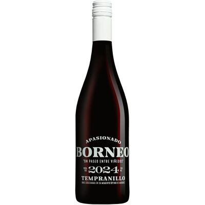 Hammeken Cellars Borneo Apasionado 2024 13.5% Vol. Rotwein Halbtrocken aus Spanien Hammeken Cellars Borneo Apasionado 2024 13.5% Vol. Rotwein Halbtrocken aus Spanien