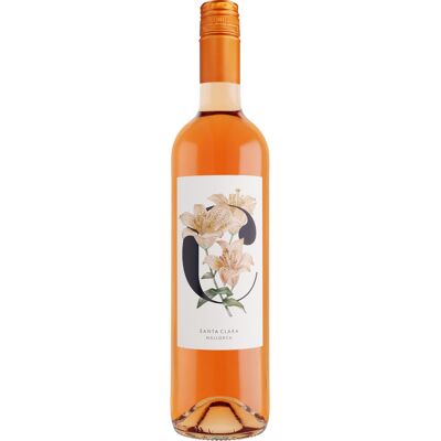 Macià Batle »Santa Clara« Rosado 2025 13.5% Vol. Roséwein Trocken aus Spanien Macià Batle »Santa Clara« Rosado 2025 13.5% Vol. Roséwein Trocken aus Spanien