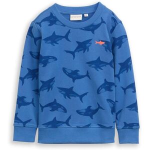 bonprix Tom Tailor Sweatshirtblau 116Knaben bonprix Tom Tailor Sweatshirtblau 116Knaben