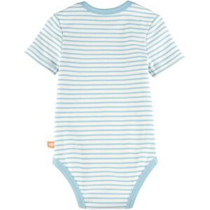 Bornino 3er-Pack Bodys kurzarm Strand Ringel natur blau Bornino 3er-Pack Bodys kurzarm Strand Ringel natur blau