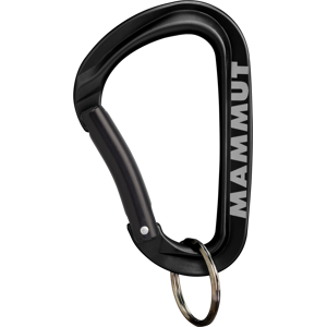 Mammut Zubehörkarabiner für Schlüssel und Ausrüstung Mini Carabiner Workhorse Keylock L Schwarz one size Mammut Zubehörkarabiner für Schlüssel und Ausrüstung Mini Carabiner Workhorse Keylock L Schwarz one size