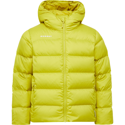 Mammut Alltagstaugliche Steppjacke mit Daunenisolierung Waymarker IN Hooded Jacket Gelb 104 Mammut Alltagstaugliche Steppjacke mit Daunenisolierung Waymarker IN Hooded Jacket Gelb 104