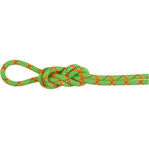 Mammut Imprägniertes, dynamisches Doppelseil mit hoher Schnittfestigkeit 8.0 Alpine Core Protect Dry Rope 40m Gelb 40 m Mammut Imprägniertes, dynamisches Doppelseil mit hoher Schnittfestigkeit 8.0 Alpine Core Protect Dry Rope 40m Gelb 40 m